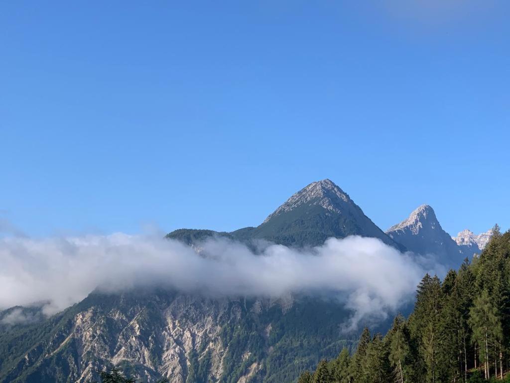 Apartmán L' Antica Casa Di Maria Lilia Pieve di Cadore Exteriér fotografie